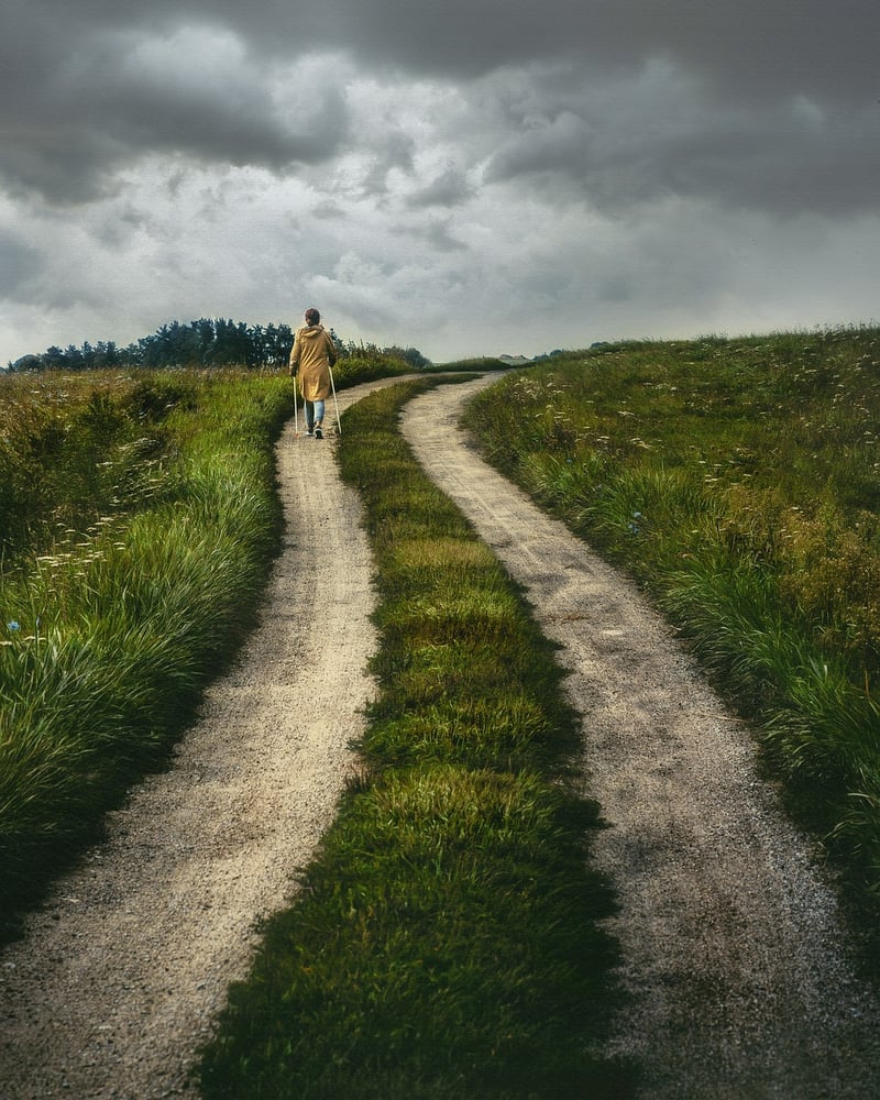 Wellness Journey